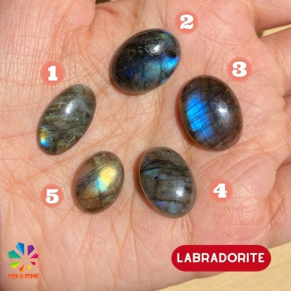 Natural Flashy Labradorite Oval Shape Cabochon