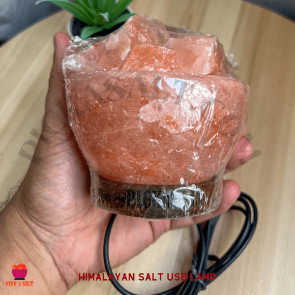 Bowl with Chunks of Himalayan Salt USB Lamp