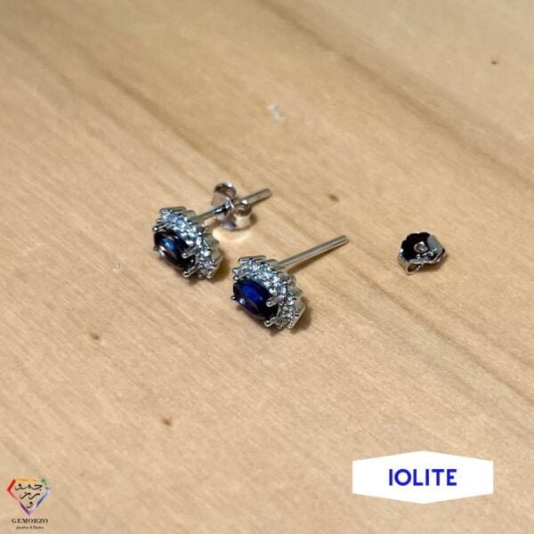 Natural Iolite with Zircons Stone Earrings